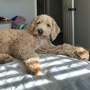 Meet your Posher, Ruby